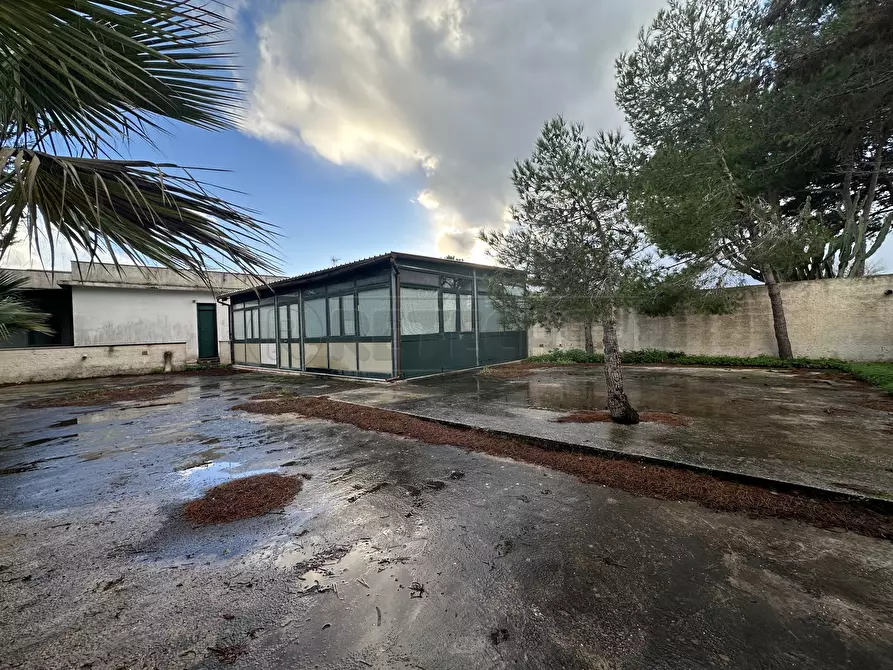 Immagine 6 di Villetta a schiera in vendita  a Campobello Di Mazara