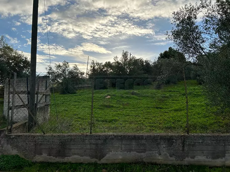 Immagine 7 di Terreno agricolo in vendita  in Via dei Gelsi di Niscima 1 a Caltanissetta