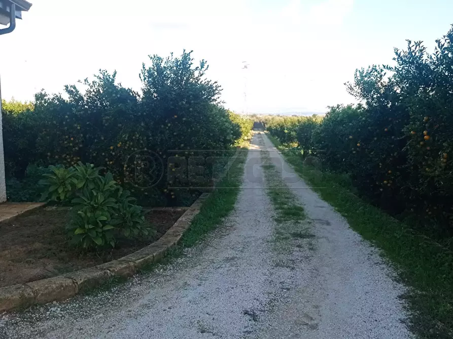 Immagine 2 di Villa in vendita  a Castelvetrano