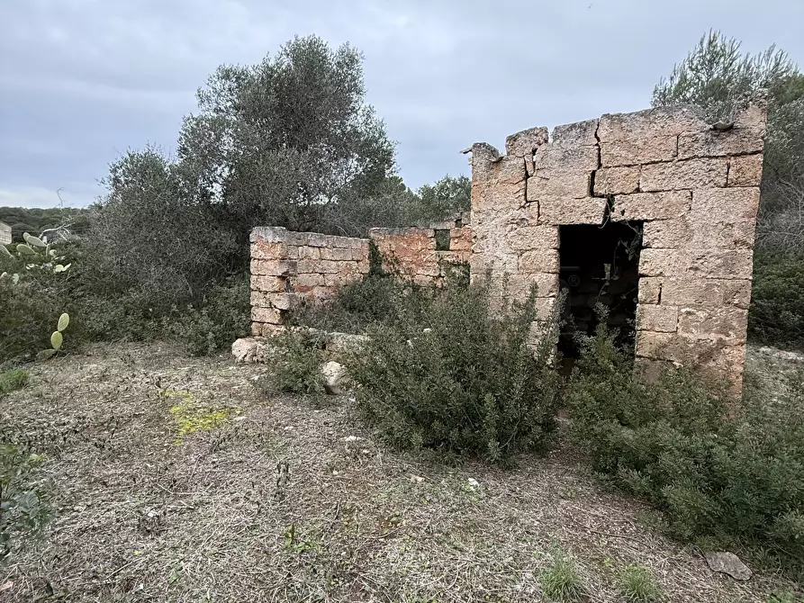 Immagine 19 di Casa indipendente in vendita  in SP286 102 a Nardo'