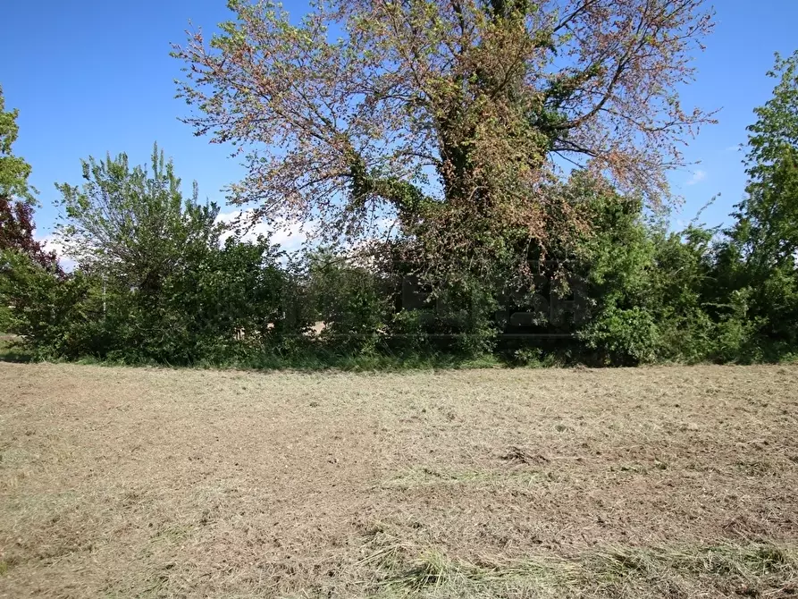 Immagine 5 di Terreno edificabile in vendita  a Castegnero