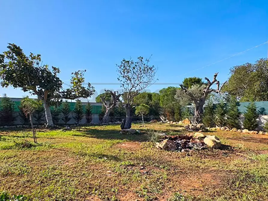 Immagine 11 di Terreno agricolo in vendita  in Via Stefano Catalano 5 a Gallipoli