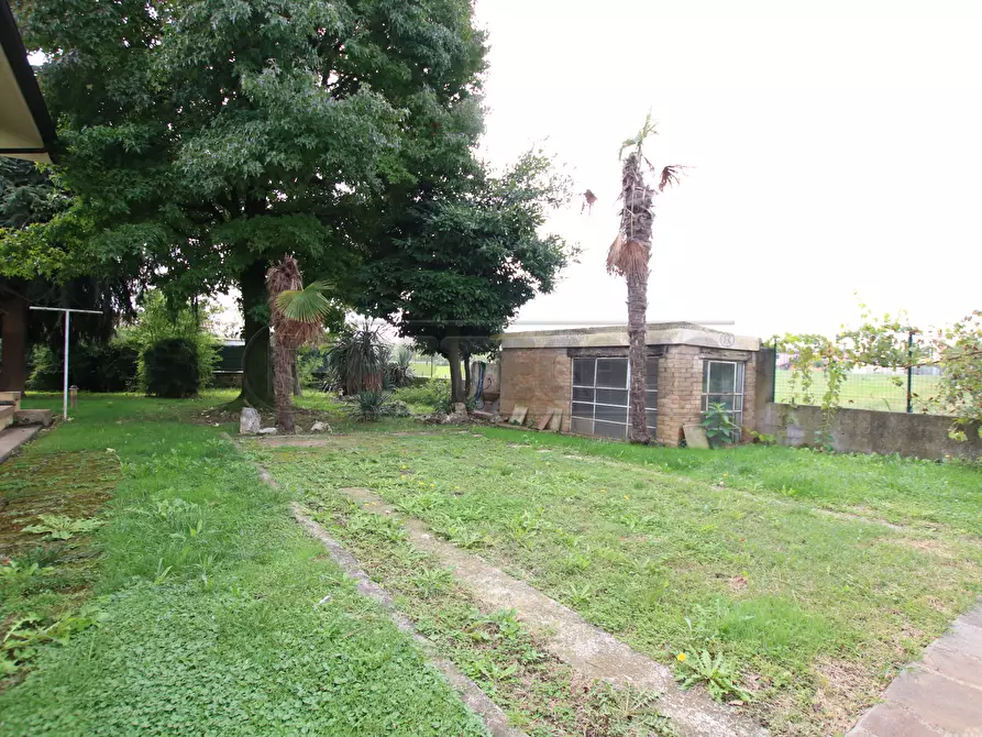 Immagine 41 di Casa indipendente in vendita  in Via Termine a Sossano