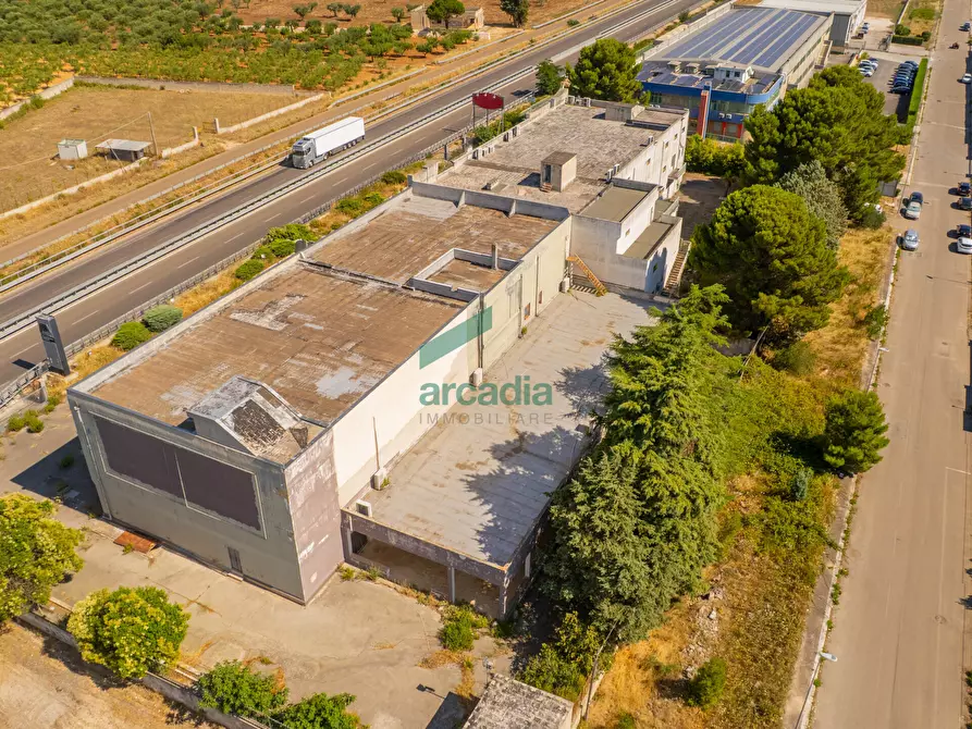 Immagine 5 di Capannone industriale in vendita  in Km 31, 800 a Sammichele Di Bari