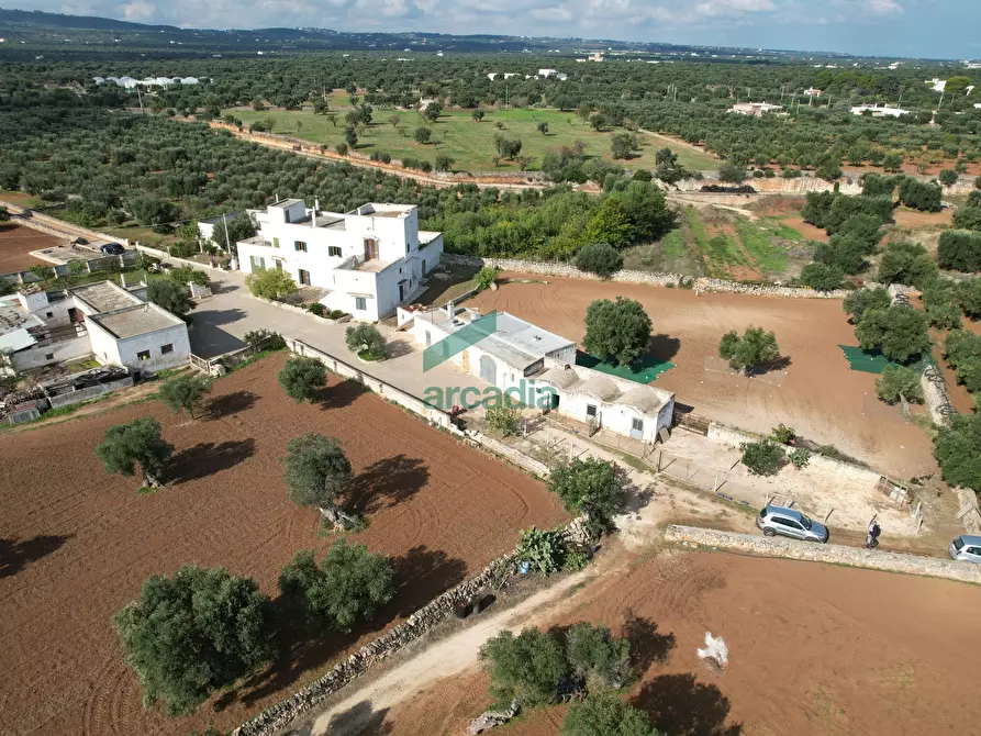 Immagine 25 di Rustico / casale in vendita  in Contrada Cristo delle Zolle 209 a Monopoli