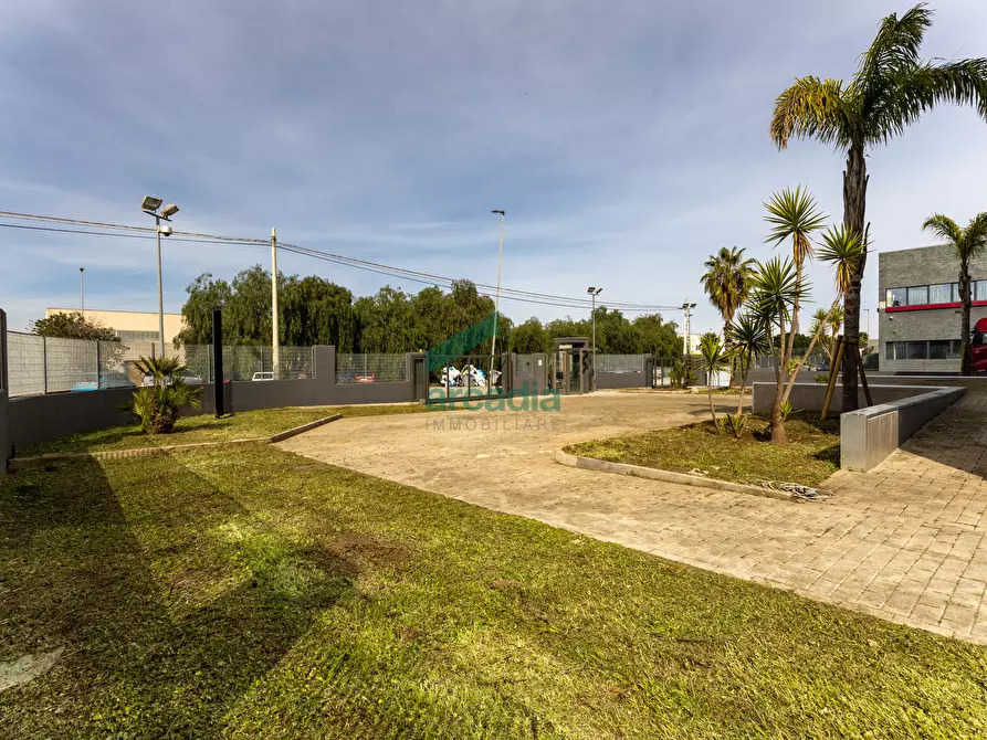 Immagine 3 di Ufficio in affitto  in Largo degli Stagnini 6 a Modugno