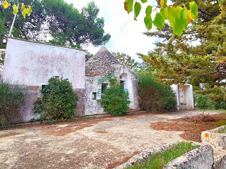Immagine 1 di Rustico / casale in vendita  in Via Bosco Selva 24 a Alberobello