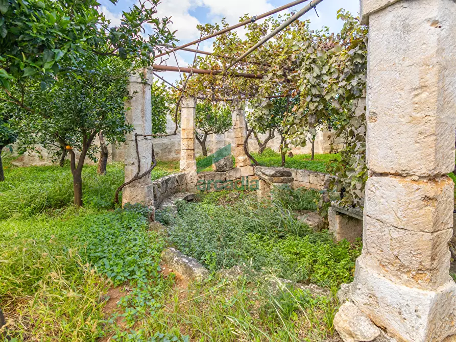 Immagine 13 di Rustico / casale in vendita  in Contrada Cristo delle Zolle 209 a Monopoli