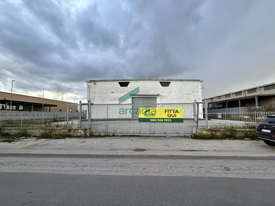 Immagine 14 di Attività artigianale in affitto  in Via Modugno 97 a Bitonto