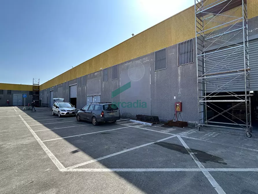 Immagine 18 di Attività artigianale in affitto  in SP231 98 a Terlizzi