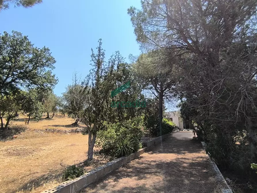 Immagine 21 di Villa in vendita  in Ctr. Ciminiera 62 a Monopoli