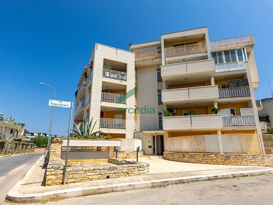 Immagine 15 di Trilocale in vendita  in Via Benigno Zaccagnini 1 a Bitetto