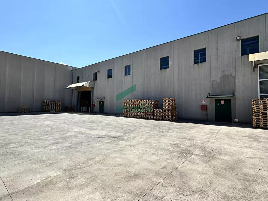 Immagine 12 di Attività artigianale in vendita  in Strada Provinciale Palese-modugno 12 a Modugno