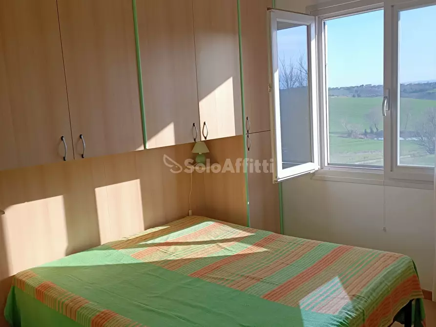 Immagine 8 di Bilocale in affitto  a Montemarciano