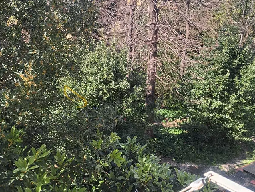 Immagine 11 di Trilocale in affitto  in Via Chiellini 89 a Livorno