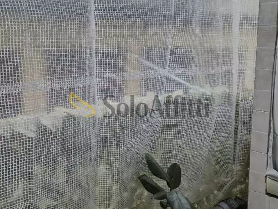 Immagine 31 di Bilocale in affitto  in Via Bardonecchia 129 a Torino