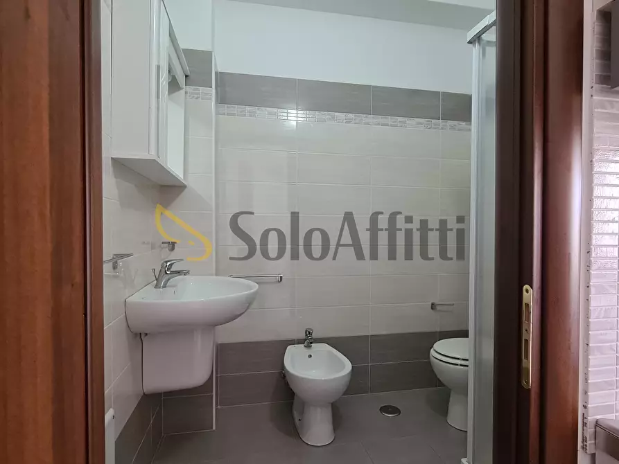 Immagine 4 di Monolocale in affitto  a Catanzaro