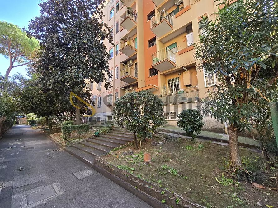 Immagine 24 di Trilocale in affitto  in Via Monte Epomeo 24 a Roma