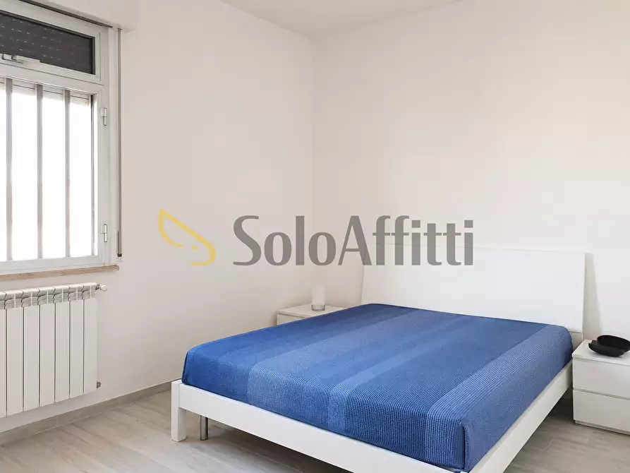 Immagine 5 di Bilocale in affitto  a Catanzaro