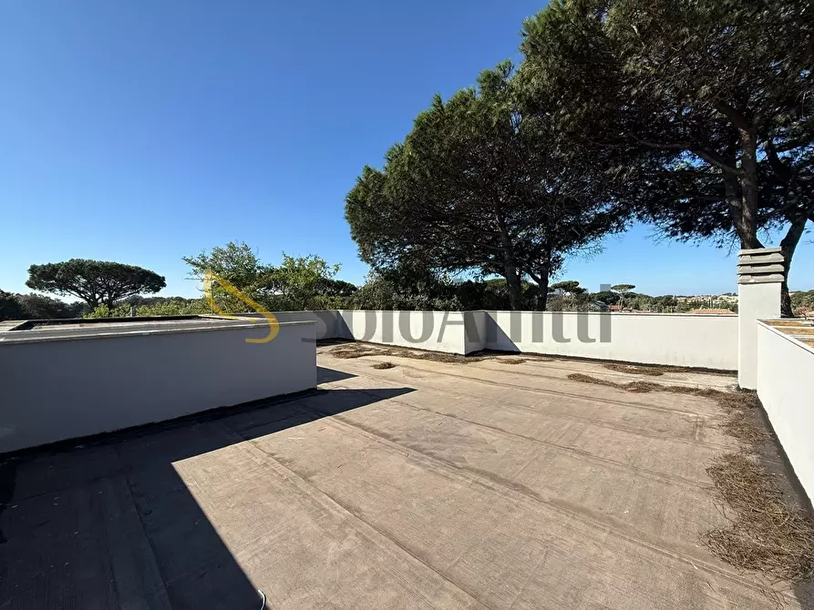 Immagine 15 di Trilocale in affitto  in Via Col Vento a Anzio