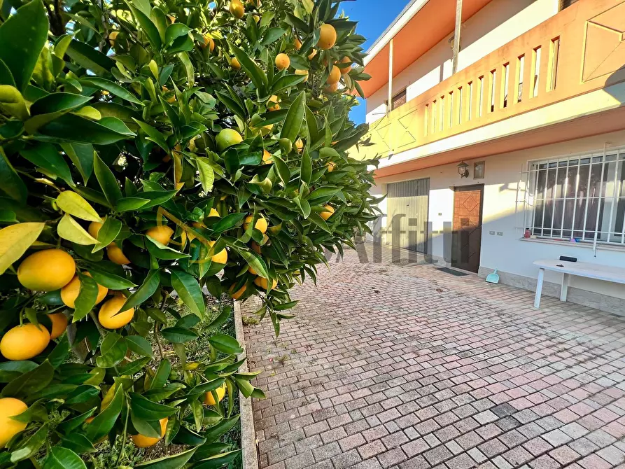 Immagine 17 di Trilocale in affitto  in Via Ombrone 7 a Tortoreto