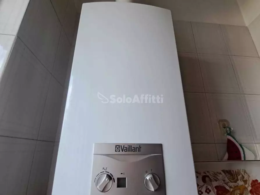 Immagine 33 di Trilocale in affitto  in Via Giuseppe Fagnano a Torino