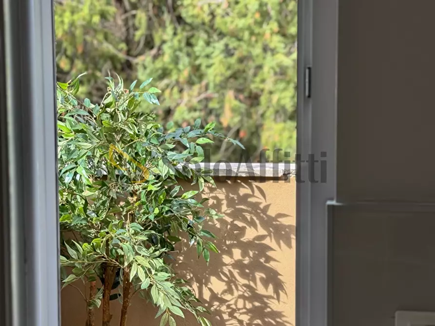 Immagine 11 di Bilocale in affitto  in Strada di San Benedetto a Terni