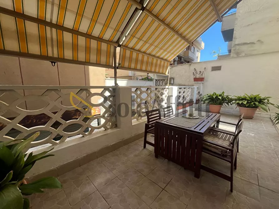 Immagine 11 di Trilocale in affitto  a Nettuno