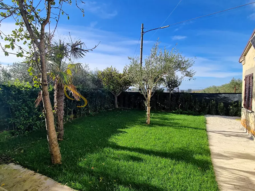 Immagine 1 di Casa indipendente in affitto  a Filottrano