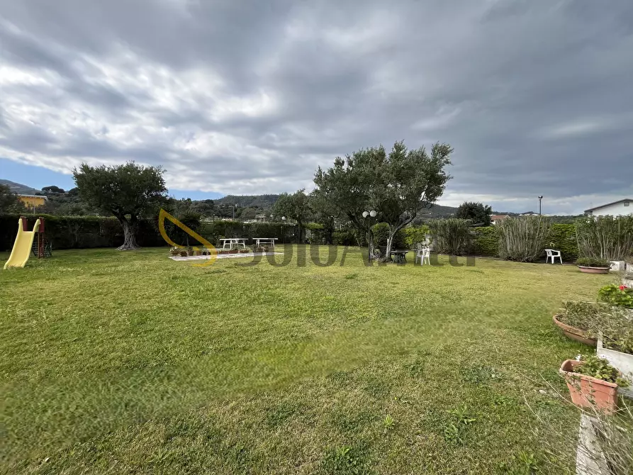 Immagine 16 di Trilocale in affitto  a Montauro