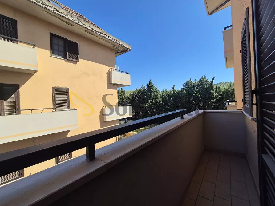 Immagine 9 di Quadrilocale in affitto  in Via dei Conti Falluc 126 a Catanzaro