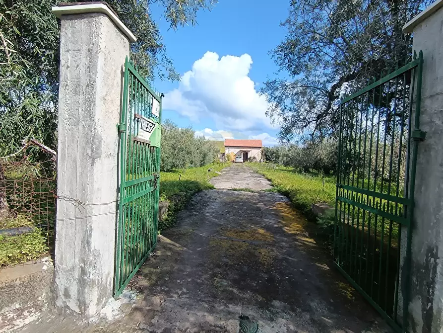 Immagine 1 di Terreno agricolo in vendita  in GRV6+27 Paternò, Città metropolitana di Catania a Paterno'