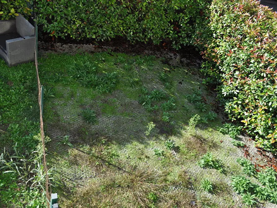 Immagine 21 di Trilocale in vendita  in Via Bussolati a Fontanellato