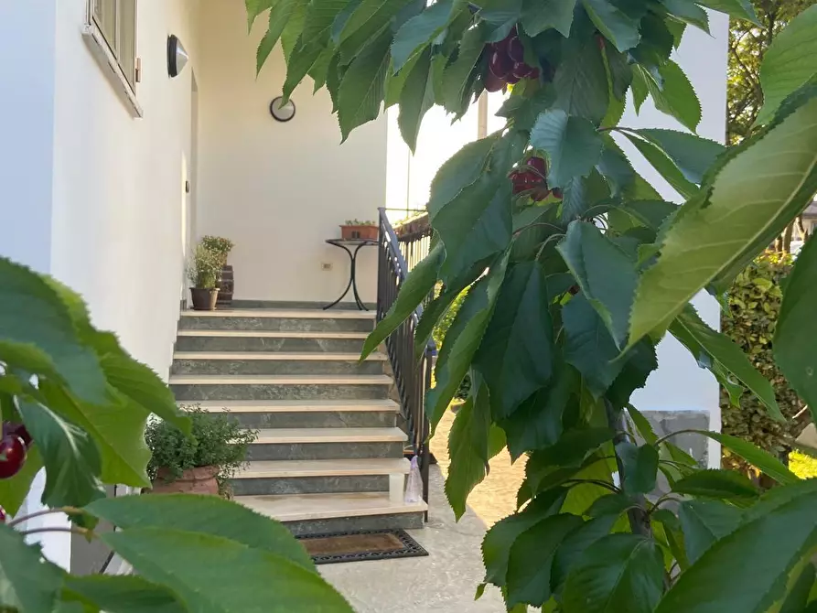 Immagine 4 di Casa trifamiliare in vendita  in Via Torino a Collecchio