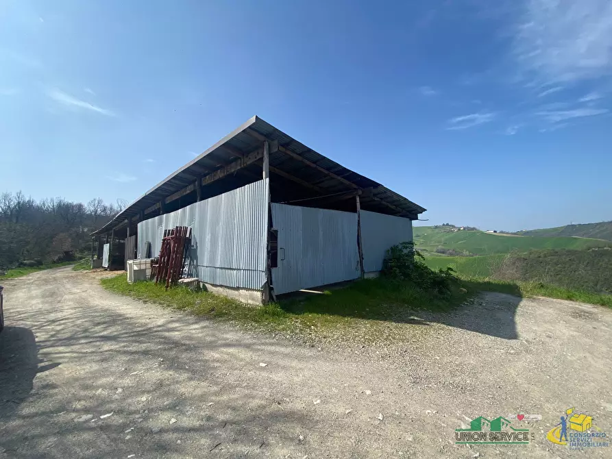 Immagine 8 di Terreno agricolo in vendita  in Miano a Medesano