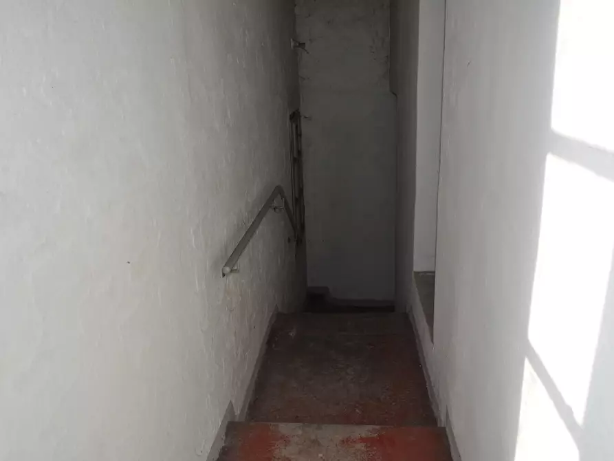 Immagine 13 di Rustico / casale in vendita  in San Quirico a Sissa Trecasali