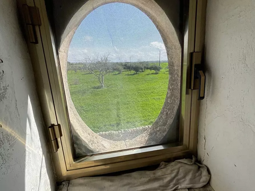 Immagine 29 di Rustico / casale in vendita  in SP59 155 a Modica