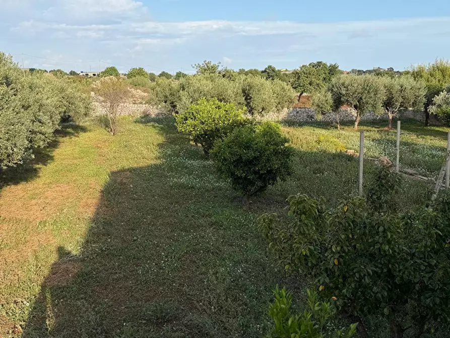 Immagine 7 di Villa in vendita  in SP45 5 a Modica
