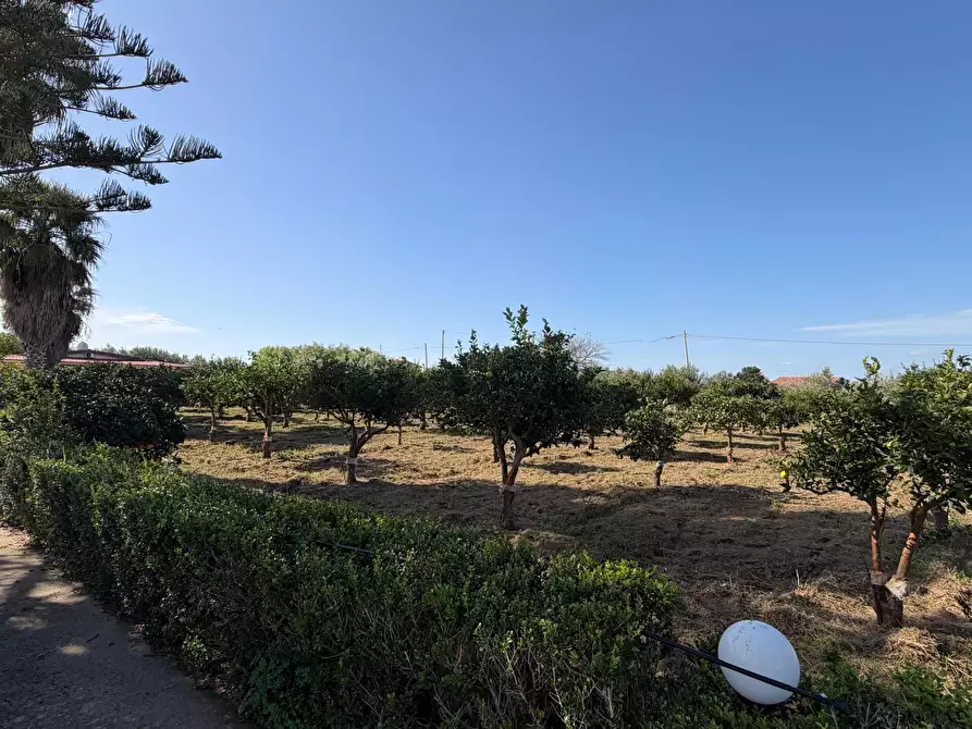 Immagine 13 di Villa in vendita  in Via del Giglio a Ispica