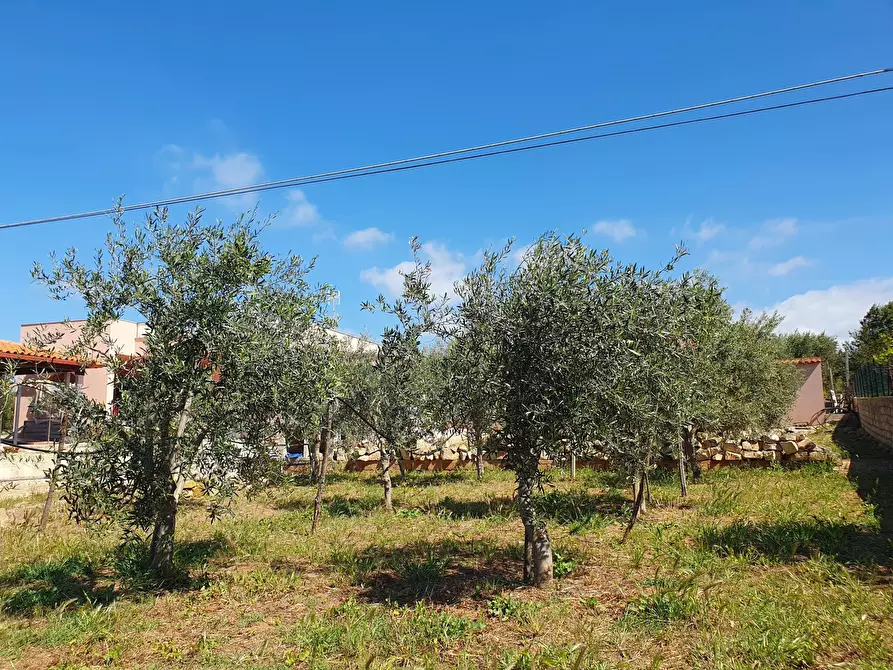 Immagine 25 di Villa in vendita  a Scicli