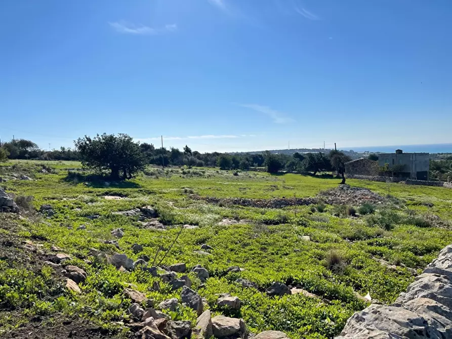 Immagine 8 di Terreno agricolo in vendita  in Contrada San Marco a Scicli