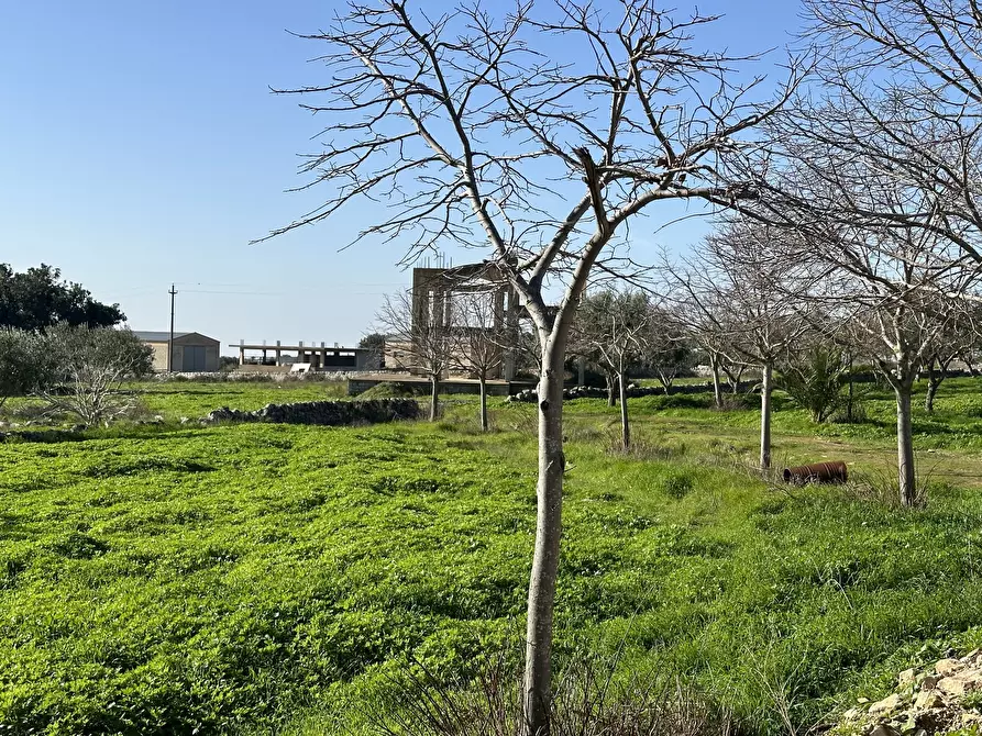 Immagine 6 di Rustico / casale in vendita  in Strada Provinciale 45 a Modica