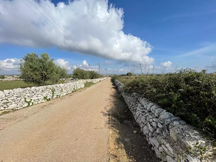 Immagine 4 di Terreno agricolo in vendita  in Via ciancia porta di ferro a Modica