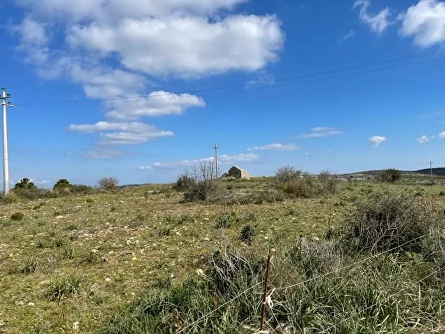 Immagine 4 di Casa indipendente in vendita  in Strada Provinciale 4 a Noto