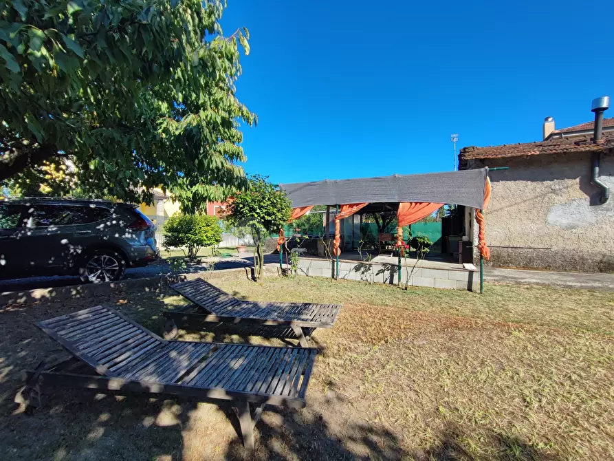 Immagine 4 di Terreno agricolo in vendita  a Arcola