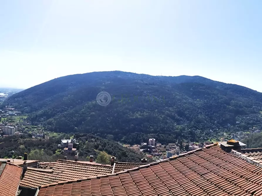 Immagine 27 di Terratetto in vendita  a Arcola