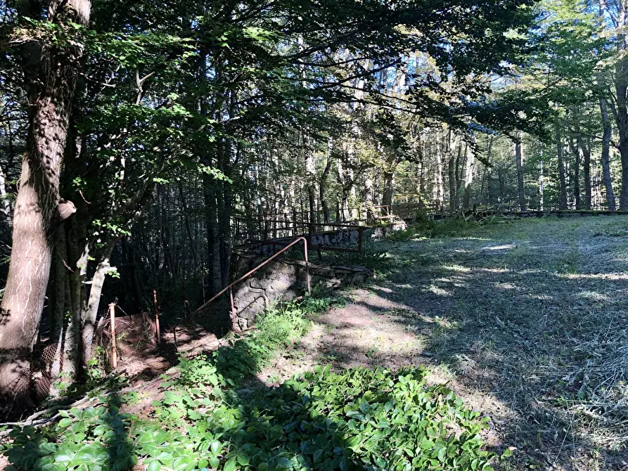 Immagine 22 di Bilocale in vendita  a Lama Mocogno