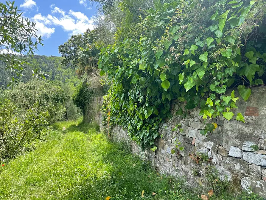 Immagine 7 di Villa in vendita  in Via del Macennere 8252/A a Lucca