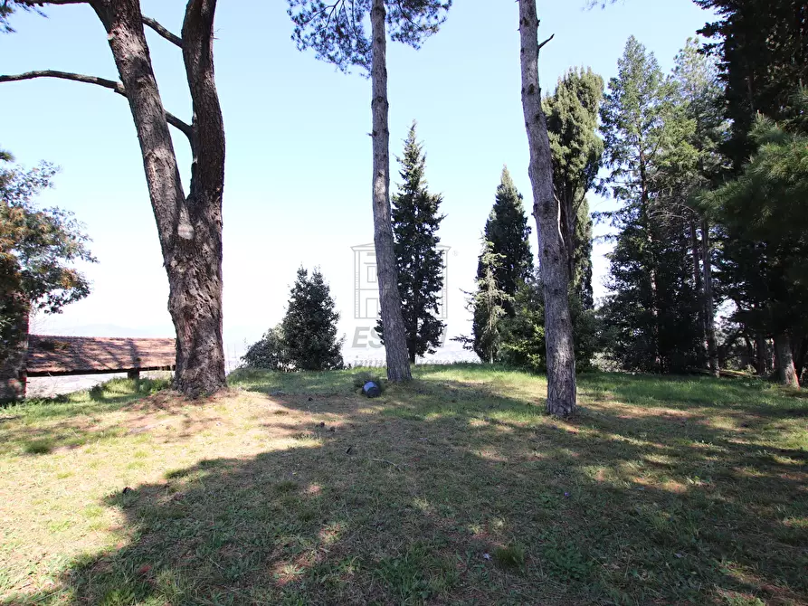 Immagine 7 di Rustico / casale in vendita  in Via del Borgo 55 a Lucca