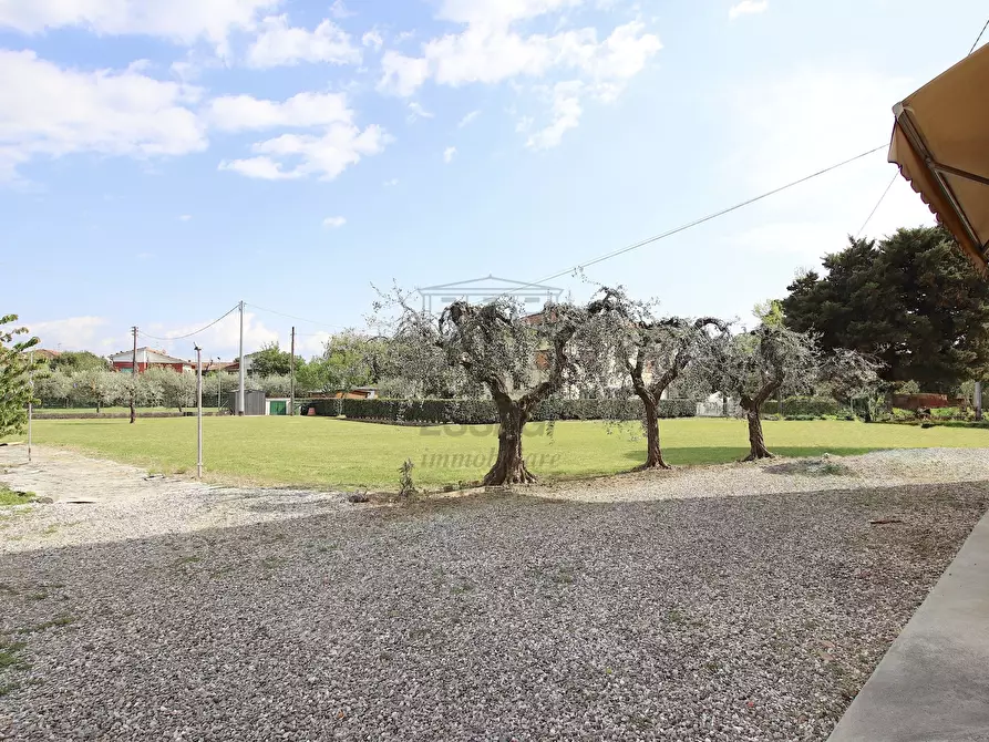 Immagine 3 di Villa in vendita  in Via di Mammoli a Lucca